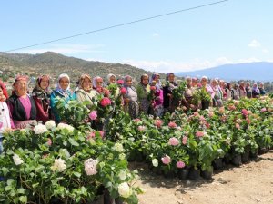Büyükşehir, kadınları üretime yöneltiyor
