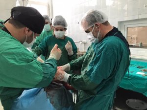 Rektör Prof. Dr. Kapu, Hayvan Hastanesi’nde incelemelerde bulundu