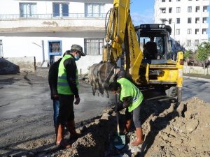 Kuşadası’nda alt ve üstyapı çalışmaları devam ediyor