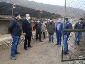 Geçici hayvan barınağına yeni ünite çalışması