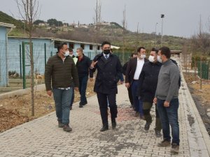 Aliağa’da sevimli dostlar için dikkat çeken tesis