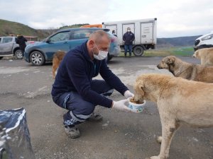 Başakşehir’de can dostlarına sıcak yardım eli uzandı