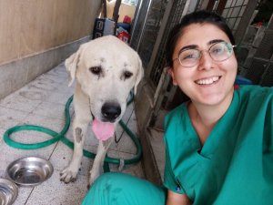 Umut kesilen köpeği veterinerler hayata döndürdü
