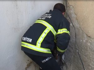 İki bina arasına sıkışan köpek bakın nasıl kurtarıldı?