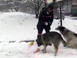 Temizlik görevlisinden iç ısıtan davranış