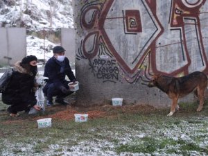 Gaziosmanpaşa’da sokak hayvanları karda sahipsiz kalmadı