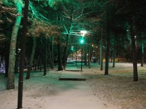Başkent’te kar yağışı etkisini sürdürüyor