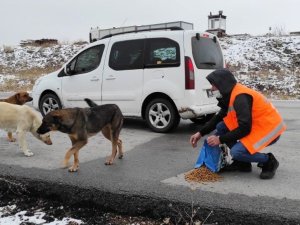 Keçiören’de can dostlar aç bırakılmadı