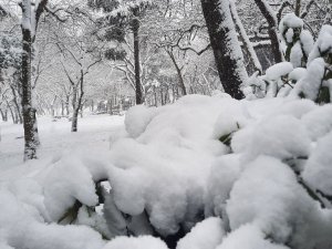 Yıldız Parkı’ndan masalsı kar manzaraları havadan görüntülendi
