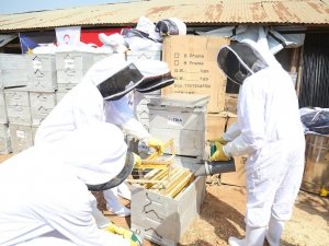 TİKA’dan Güney Sudanlı çiftçilere destek