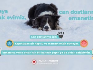 Bakan Kurum’dan "Can dostlarımız için" paylaşımı