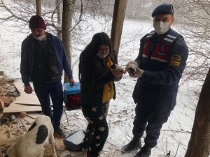 Karda mahsur kalan köpeklerin imdadına jandarma yetişti