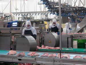 Kanatlı sektörü salgının izlerini silmeye çalışıyor