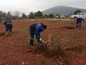 Muğla Büyükşehir’den “Hortikültürel terapi” alanı
