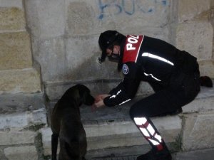 Polis ekipleri, eksi 10 derecede sokak hayvanlarını unutmadı