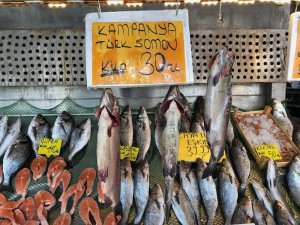 Norveç somonuna rakip Türk somonun kilosu 30 lira