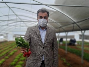 Bu serada üretilen sebzeler ihtiyaç sahiplerine ulaştırılıyor