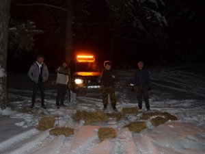 Nallıhan Off Road ve Doğa Ekibi, yaban hayatına sahip çıktı