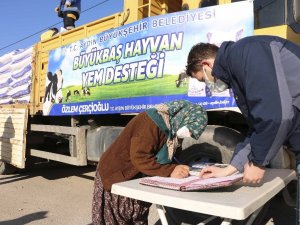 Büyükşehir’den 152 bin ton yem desteği