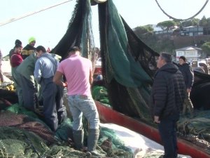 Uzatılan hamsi yasağı sonrası balıkçı tekneleriyle dolan Şile Limanı havadan görüntülendi