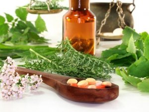 Fitoterapi için doktor olmak yeterli değil