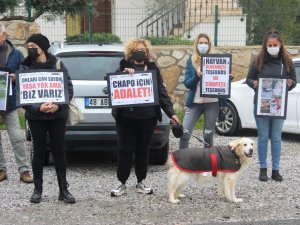 ’Chapo için adalet’ eylemi