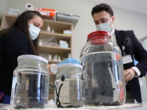 Binlerce yıllık tedavi yöntemleri bu merkezde uygulanıyor