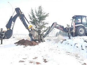 Altıntaş’ta ağaçlandırma çalışmaları aralıksız devam ediyor