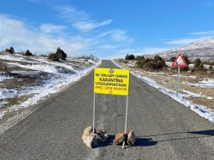 Diyarbakır’da mutasyonlu korona virüs tespit edildi, mahalle karantinaya alındı