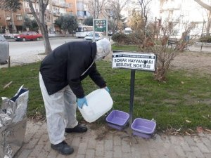 Salihli’de sokak hayvanlarına mama desteği