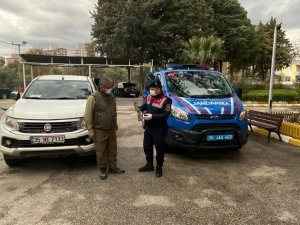 Jandarma ekipleri, yaralı şahini kurtardı