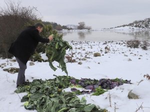 Saruhanlı Belediyesi yaban hayvanlarını unutmadı