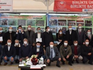 Milas’ta 300 bin ada çayı fidesi dağıtıldı