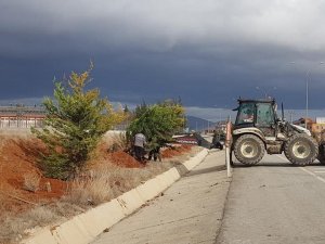 Çevre yolunda ağaçlandırma çalışması