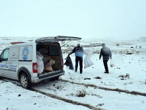 Yaban hayvanları ile sokak hayvanlarına yiyecek bırakıldı