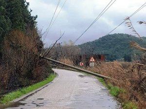 Ortaca’da fırtına çatıları uçurdu, aydınlatma direklerini devirdi