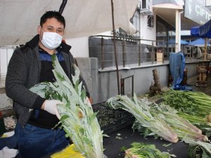 Soğuk hava enginar fiyatlarını etkilemedi