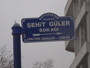 Başkent’te fırtınada devrilme ihtimali olan ağaca halatlı önlem