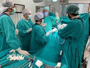 Çevrim İçi Laparoskopik Böbrek Tümörü Kursu