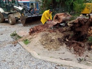 Didim Belediyesi yağış sonrası olumsuzlukları anında giderdi