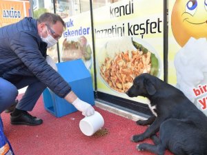 Çiğli Belediyesi veterinerlik hizmetlerinde rekor artış