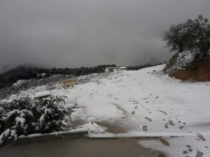 Kuşadalılar, kar görmek için yüksek kesimlere akın etti