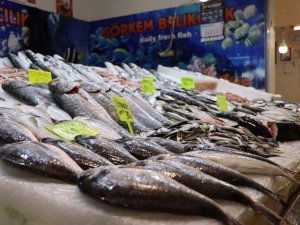 Kuvvetli fırtına ve sağanak, balık fiyatlarını uçurdu