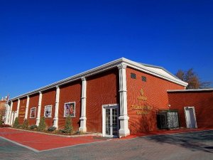 Çankaya Belediyesi’nden salgından dolayı zorluk yaşayan sanatçıya destek