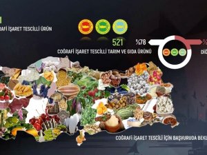 Anadolu arı ürünleri coğrafi işaretler ile markalaşacak