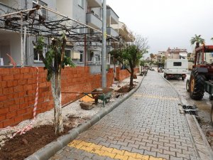 Marmaris’te cadde yenilemesi sırasında kaldırılan ağaçlar yeniden toprakla buluştu