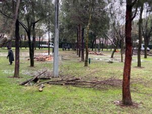 Manisa Büyükşehir sağanak ve fırtına sonrası yaraları sardı