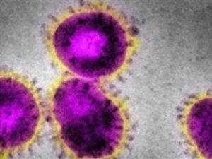 Cüzzam hastalığında kısa sürede bulaş riski çok düşük