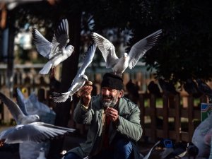Her gün elleriyle martılara ve güvercinlere profiterol yediriyor