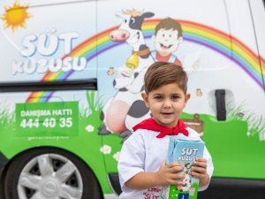 İzmir’in "süt kuzuları" 156 bini geçti